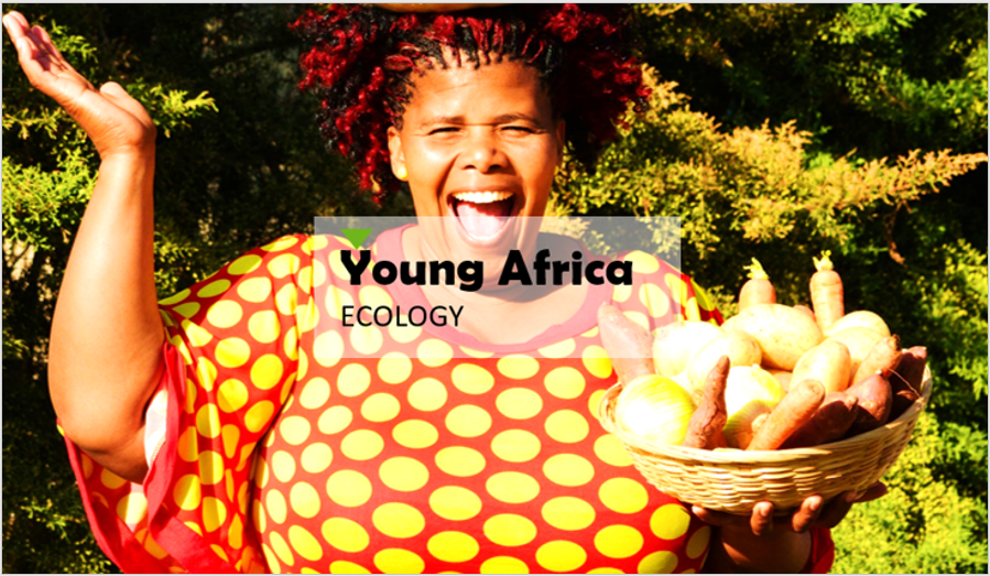 Young Africa ECOLOGY – Building local businesses from earth’s resources